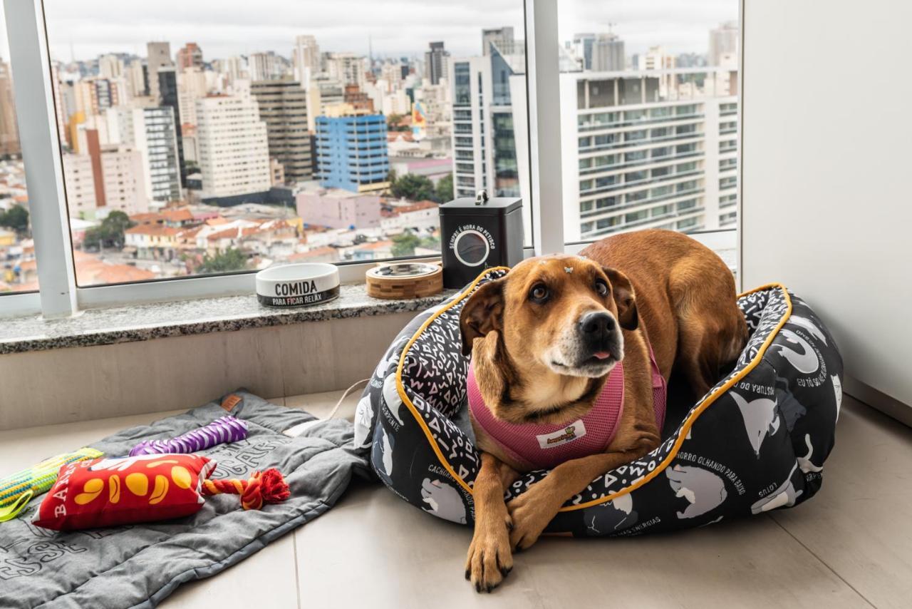 "Book Your Stay At Homelike Faria Lima In Pinheiros Stunning City Views Pool And Parking By Okaeri Home São Paulo Buitenkant foto